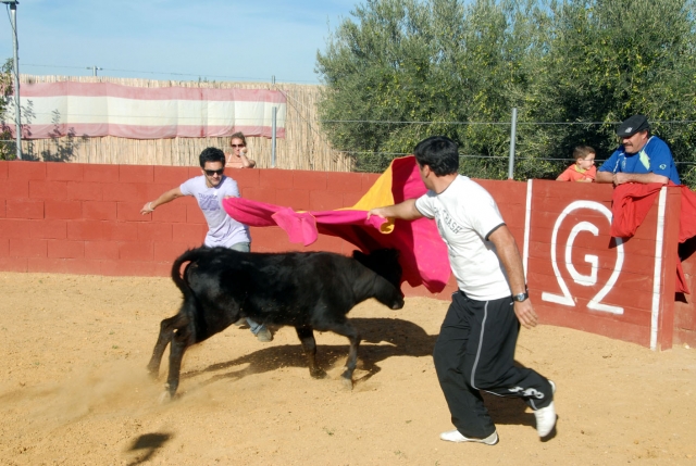 Lo principal diversion a tope